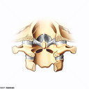 Articulao Atlanto-Axial