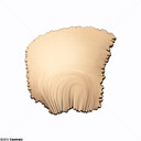 Ossos laminares