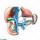 Sistema porta-heptico